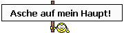 |231