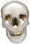 |474