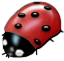 |255