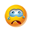 |334