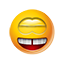 |337